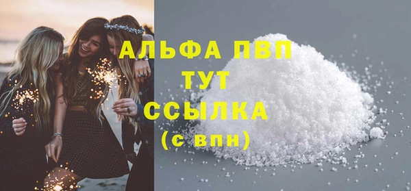 прущие грибы Нефтекумск