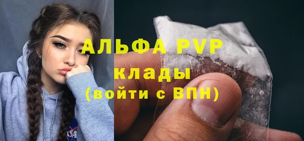 прущие грибы Нефтекумск
