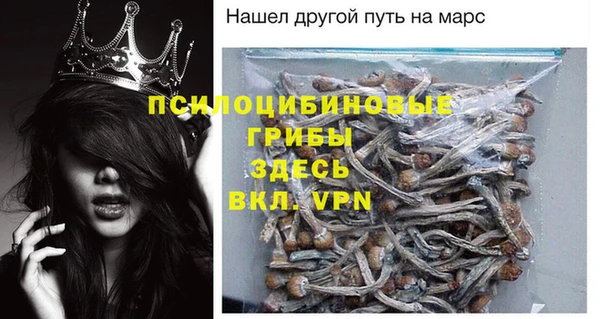 прущие грибы Нефтекумск