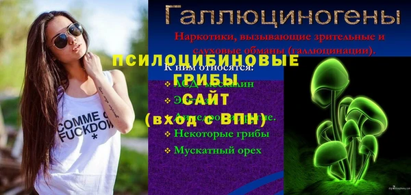 винт Нея