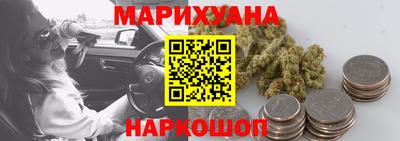 эйфоретик Гай