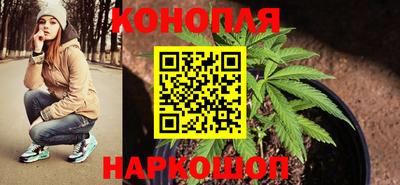 эйфоретик Гай