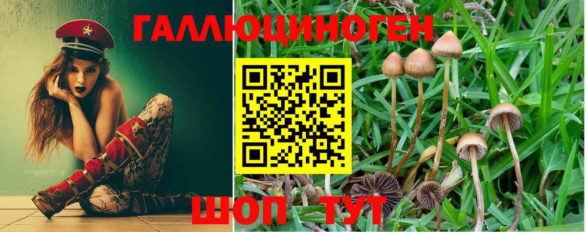 Нижнекамск  Псилоцибиновые грибы мухоморы  Псилоцибиновые грибы Cubensis  Вход с VPN 