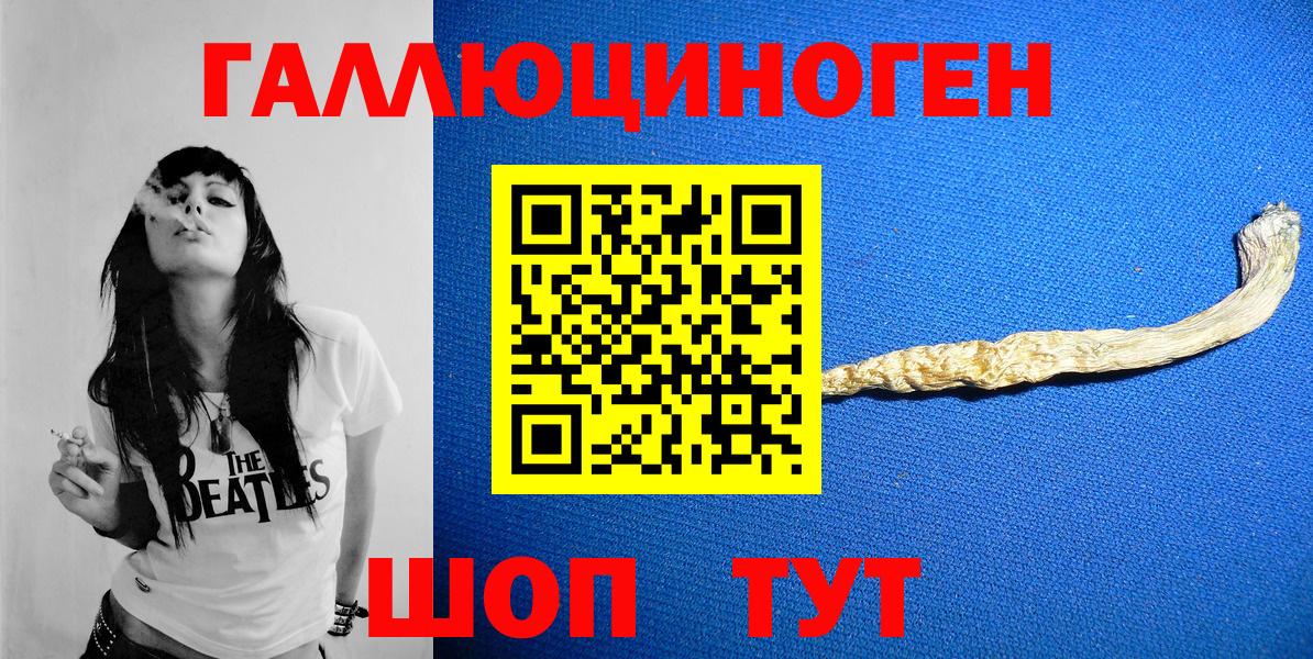 Псилоцибиновые грибы Psilocybe Нижнекамск